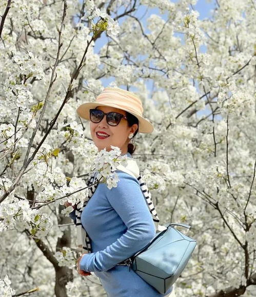 王志才怎么发家的 “京城四少”是怎样衰落的