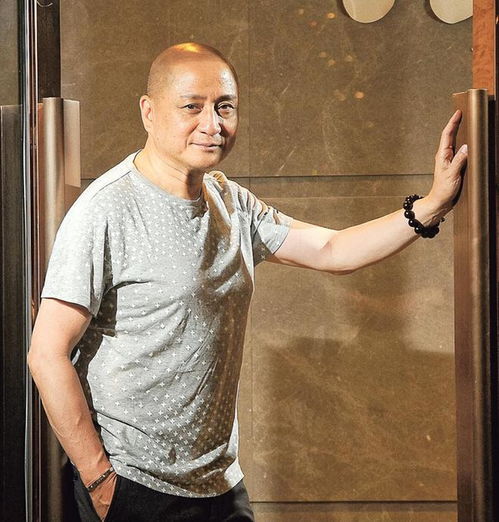 张国强主演的电视剧向往的生活 张国强主演的电视剧向往的生活