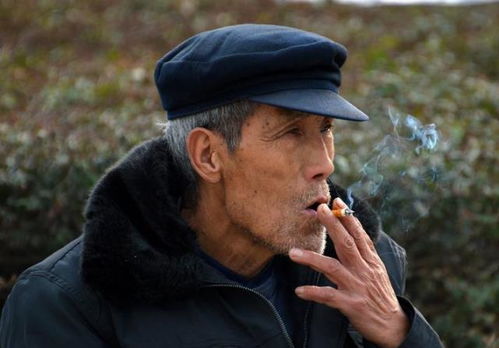 因为我脑子不好歌词 因为我脑子不好原唱