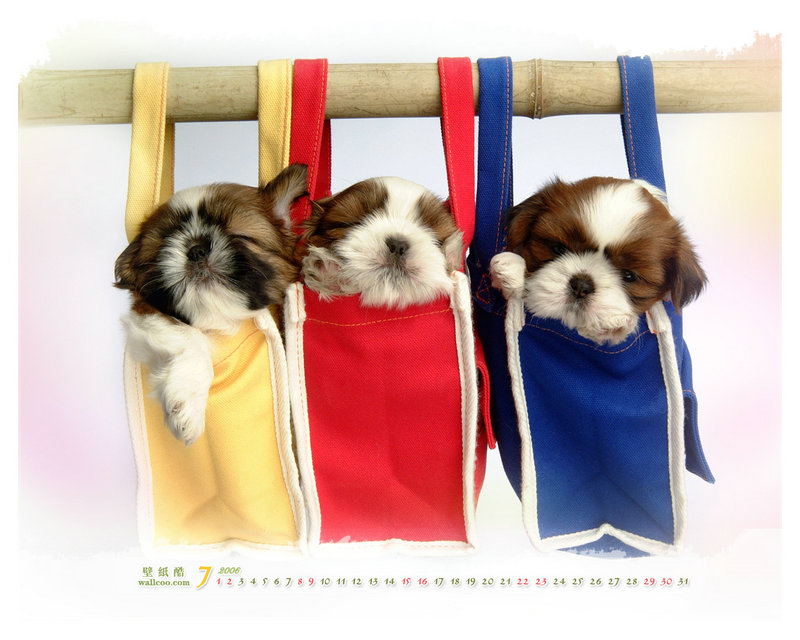 青岛风景 青岛风景图片