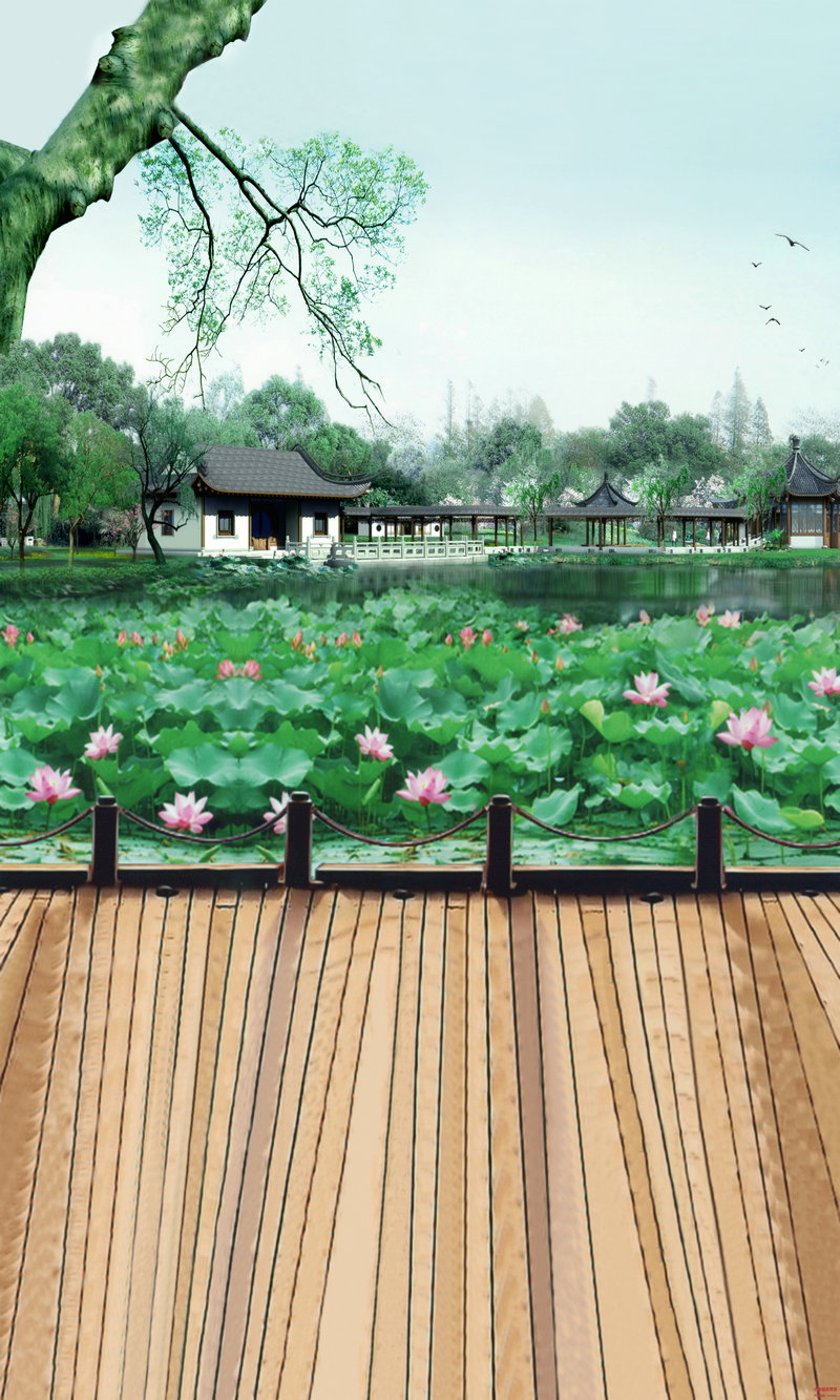 镜花水月两样情(镜花水月两样情周艳泓中华情)