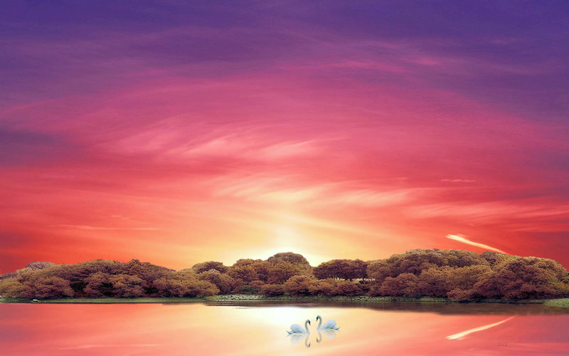 2021年度记忆 2019年度记忆