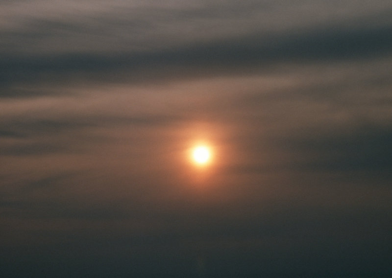 骗情骗婚骗钱 忙碌“好男人”一副黑心肠 骗情骗婚骗钱 忙碌“好男人”一副黑心肠