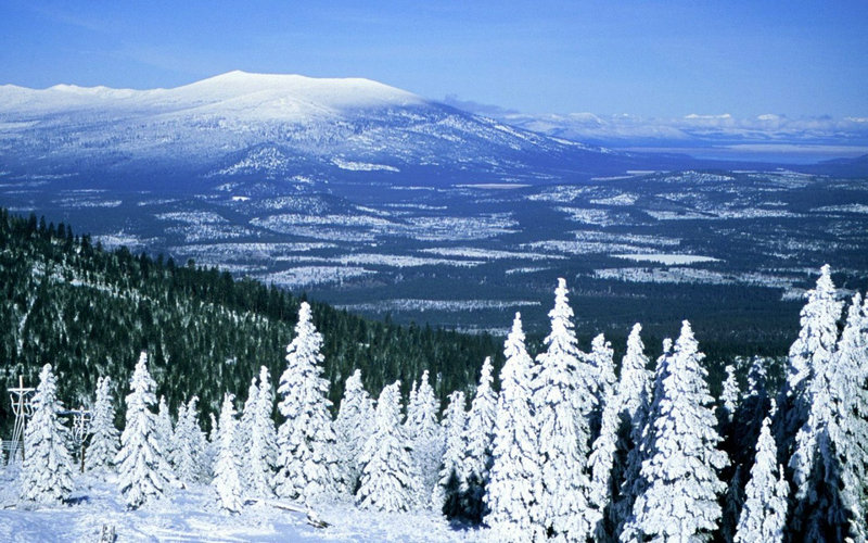 唐朝人为何不情愿做驸马 唐朝人为何不情愿做驸马