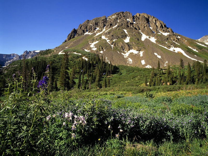 善良妈妈的朋友2