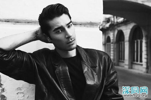 模拟明星生活(模拟明星软件)