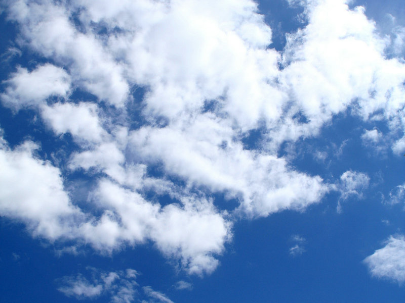 荷兰政府说该国遭受恐怖袭击风险较高