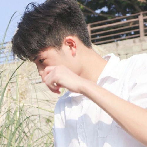 旧还珠格格演员表全部名单