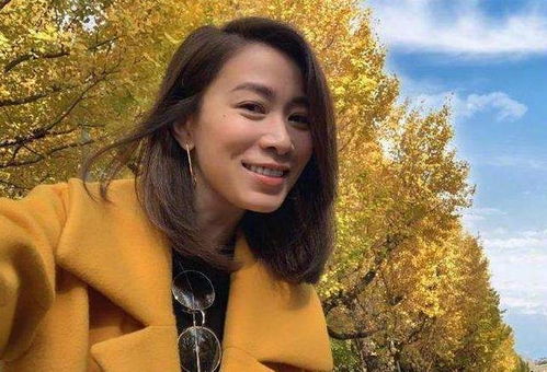 军师联盟电视剧 军师联盟电视剧免费观看完整版