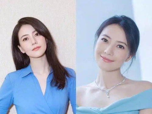 vip音乐;vip音乐网站