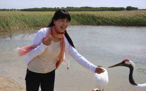 玩命速递重启之战电影